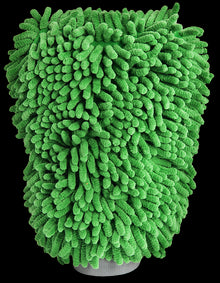 Miracle Wash Mit, Mikrofiber Vaskehandske